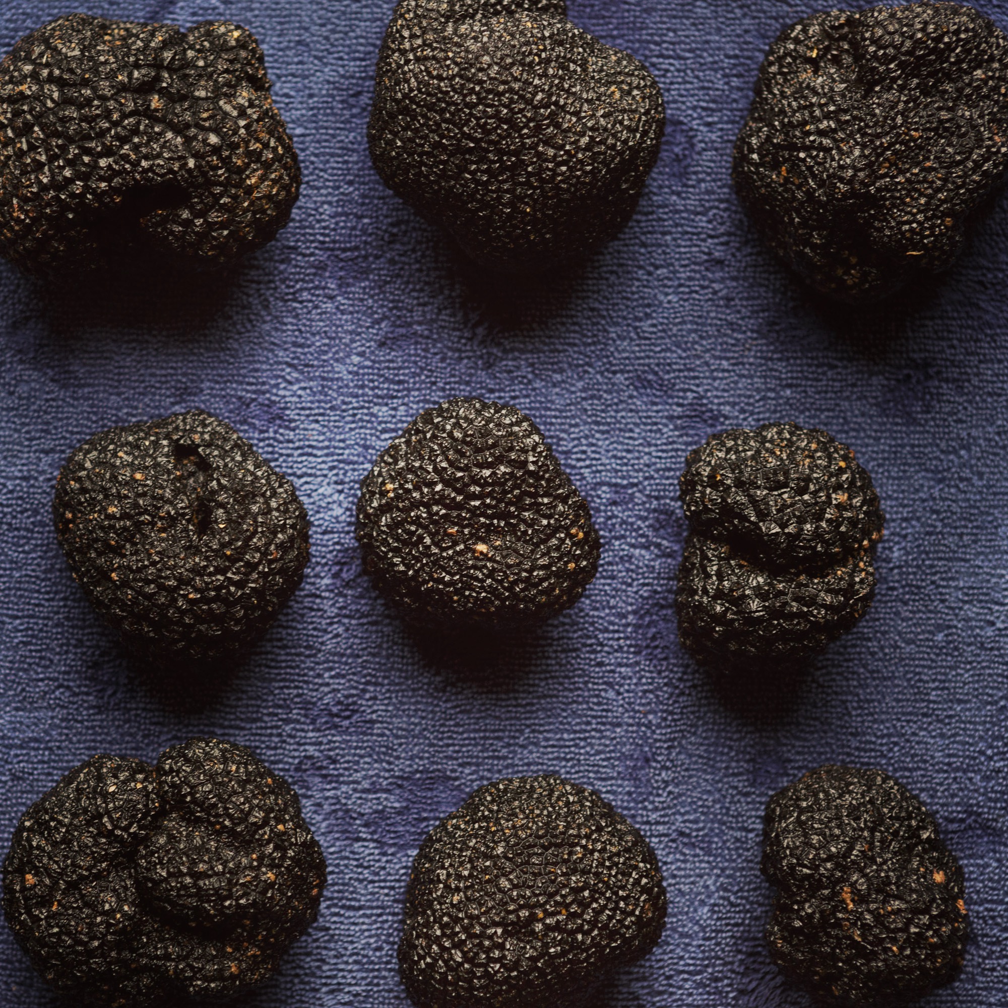 Storage and shelf life - Wiltshire Truffles