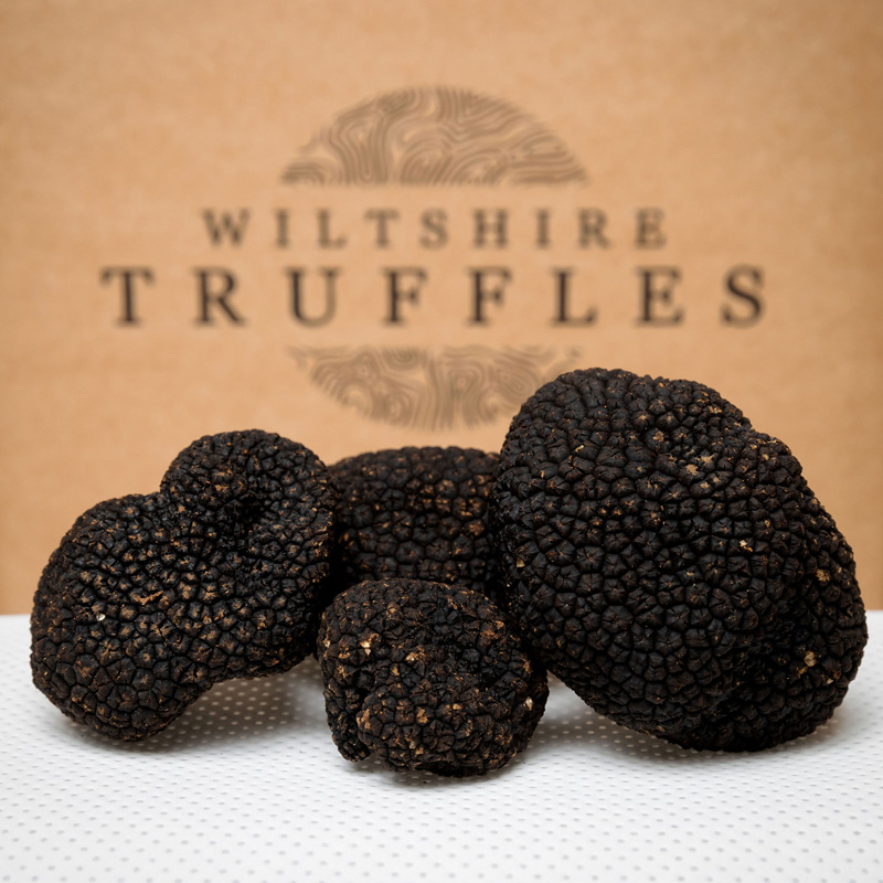 Fresh Black Summer Truffles