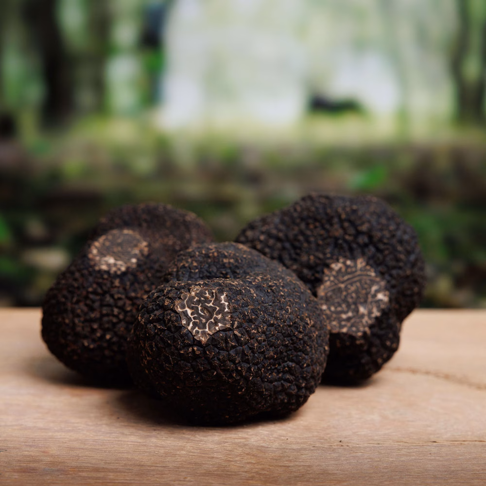 Fresh Australian Black Winter Truffles - Image 2