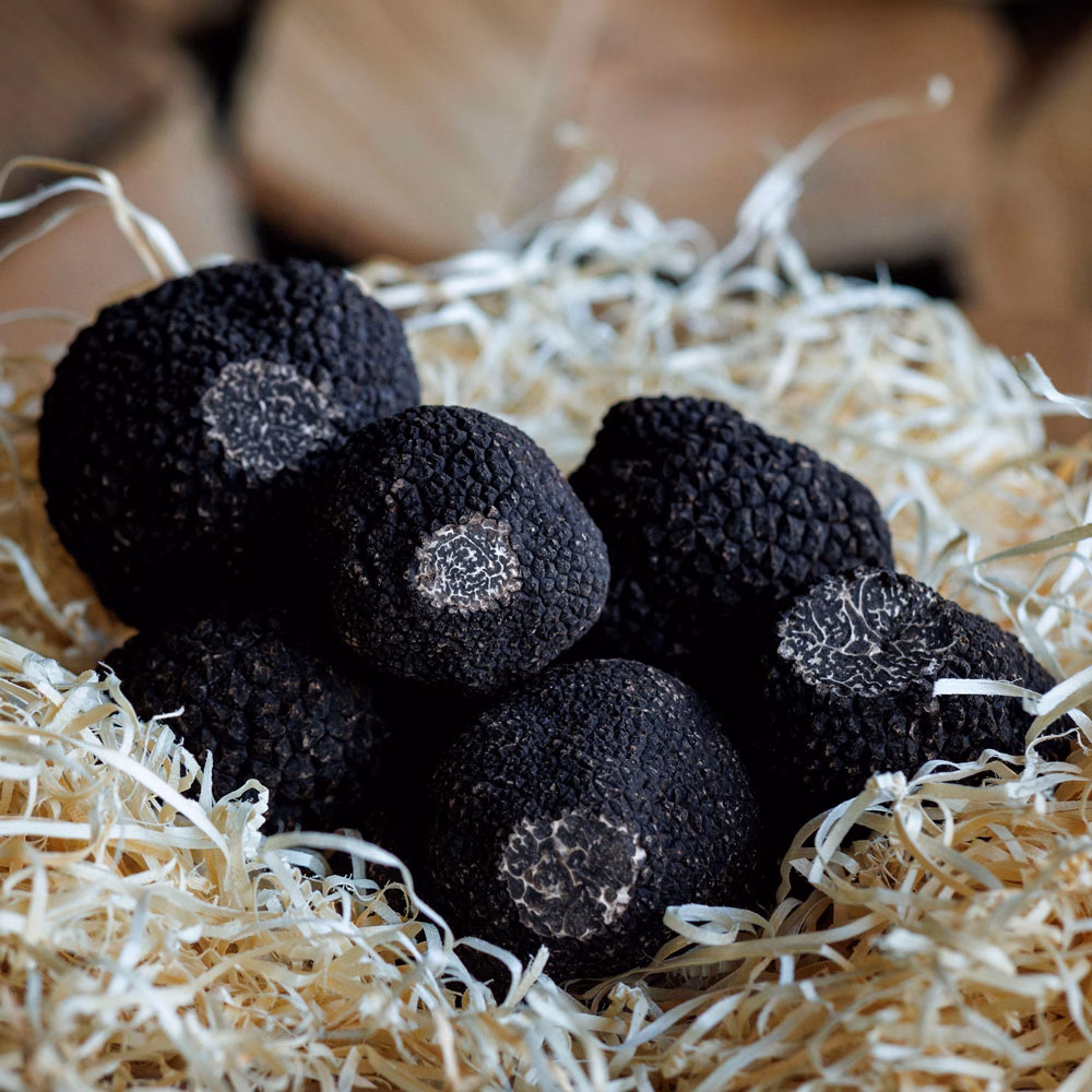Fresh Australian Black Winter Truffles - Image 3