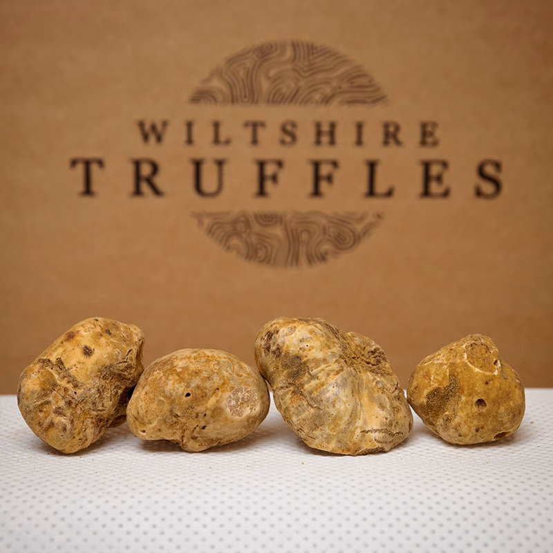 Fresh White Truffles
