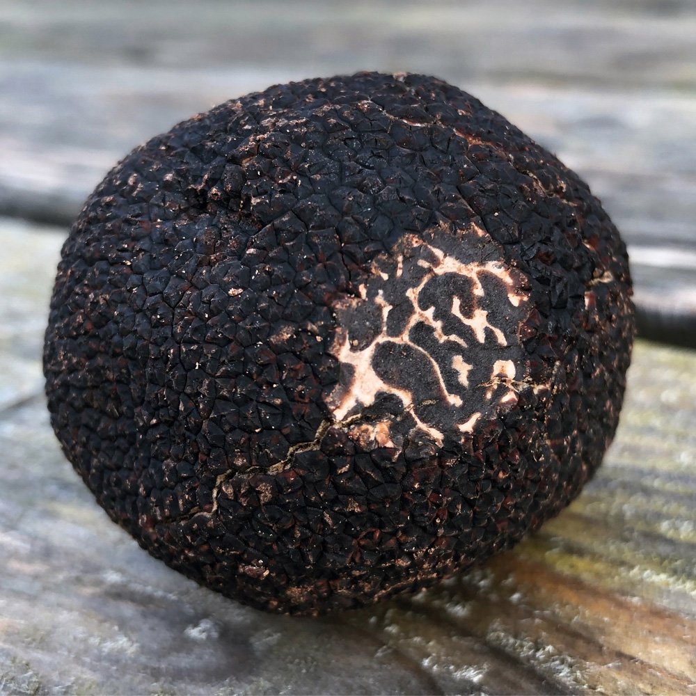 Buy Fresh Truffles - Wiltshire Truffles