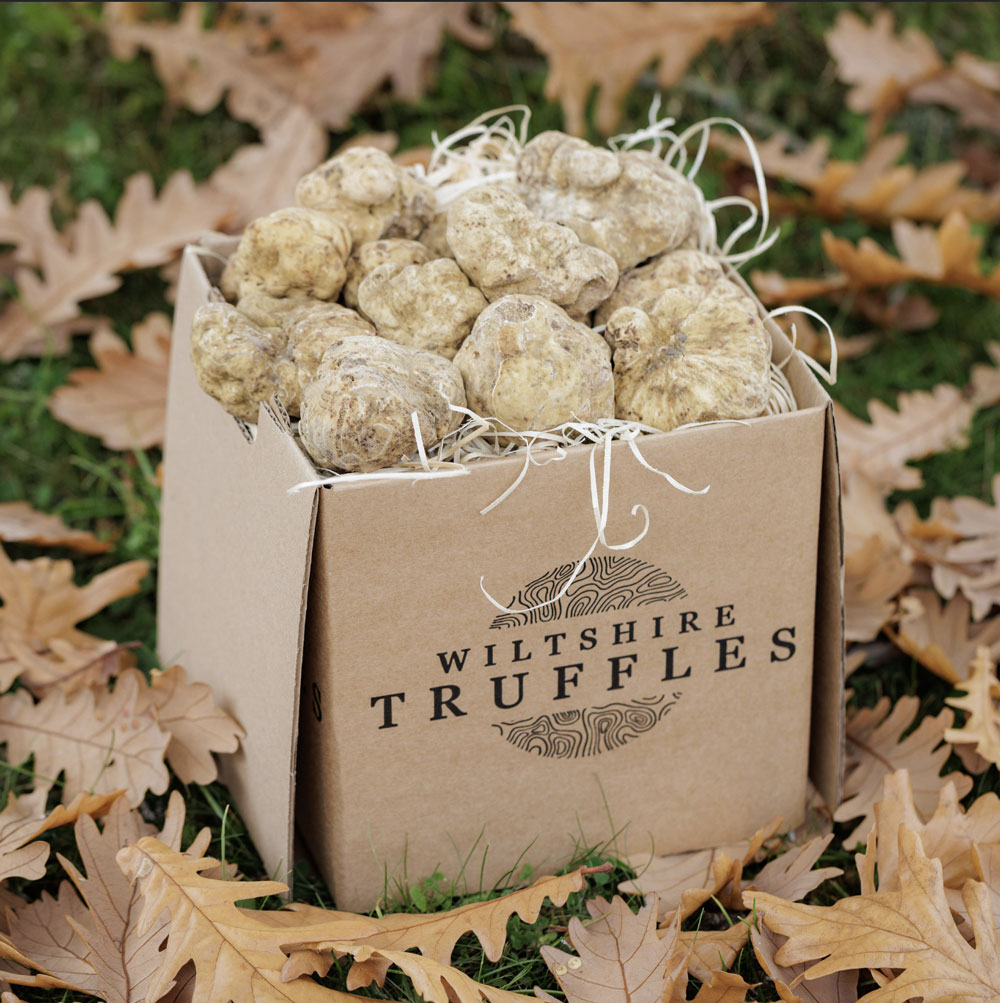 Fresh White Truffles - Image 2
