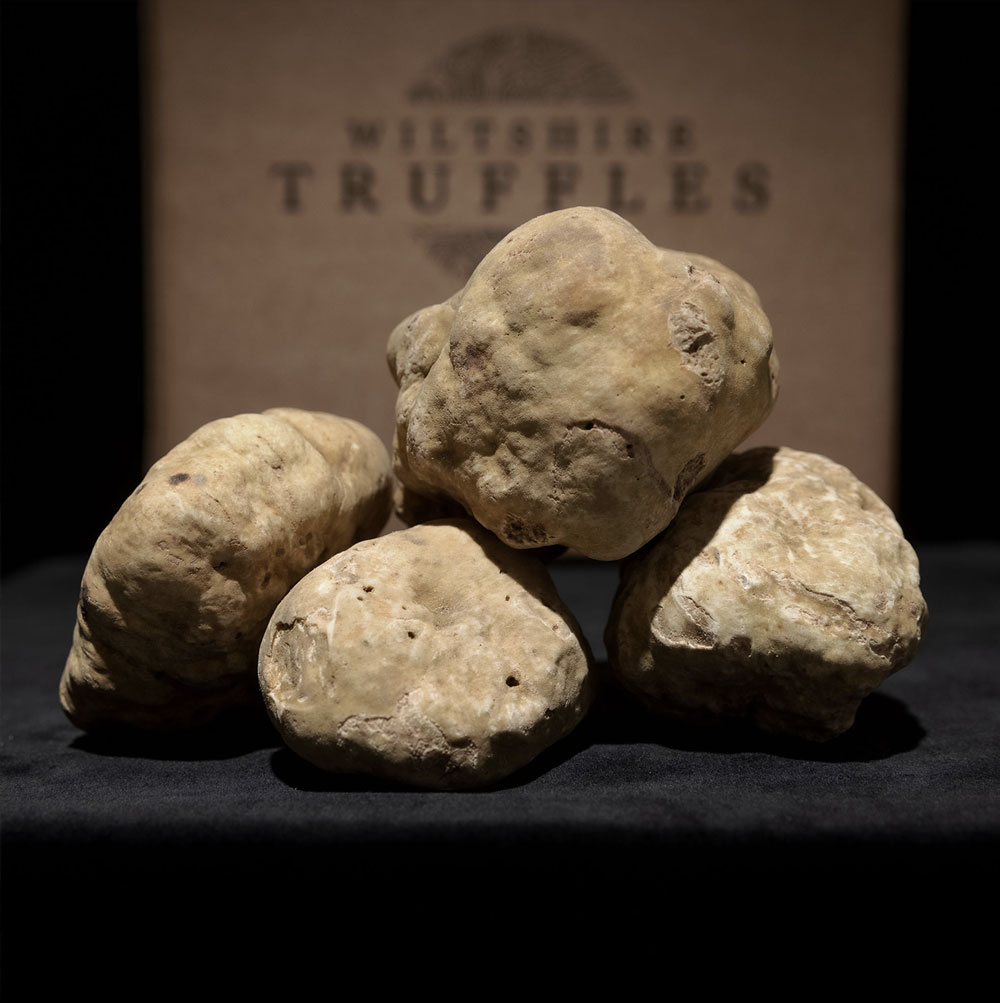 Fresh White Truffles - Image 3