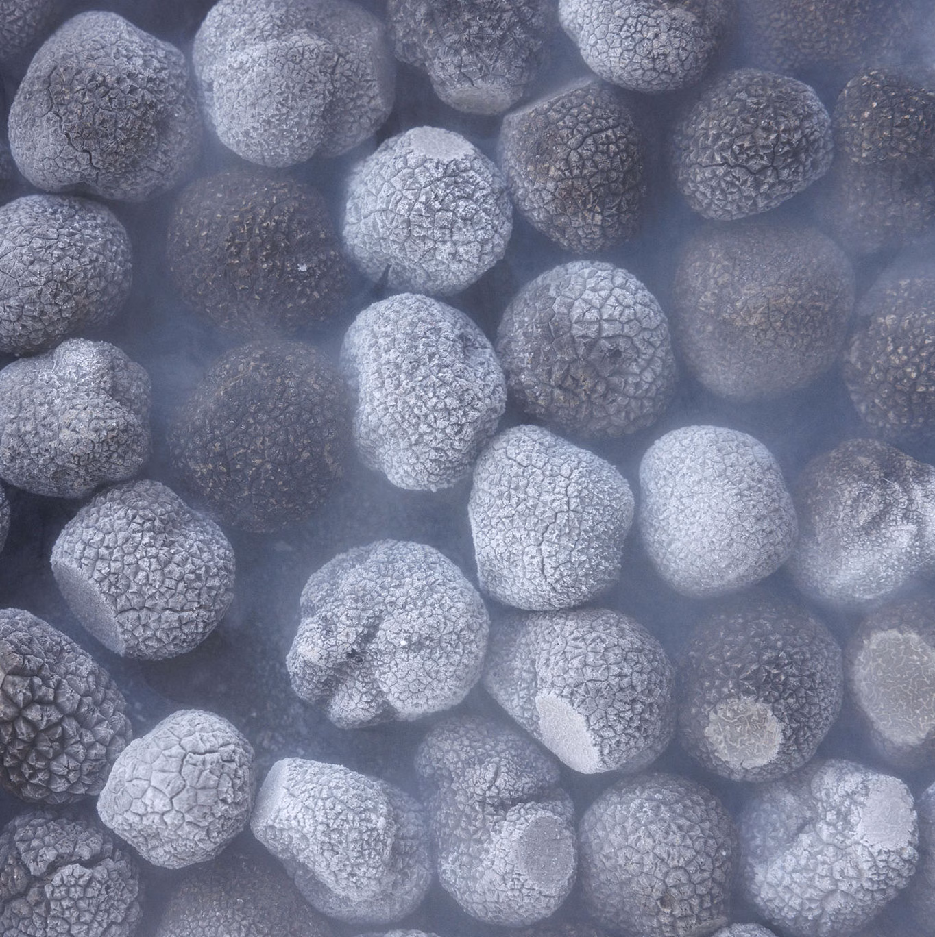 Nitro Frozen Black Winter Truffles - Image 3
