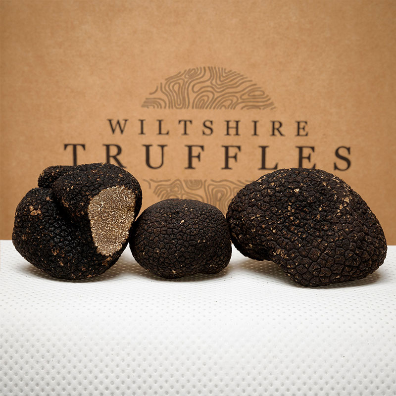 Fresh European Autumn Truffles