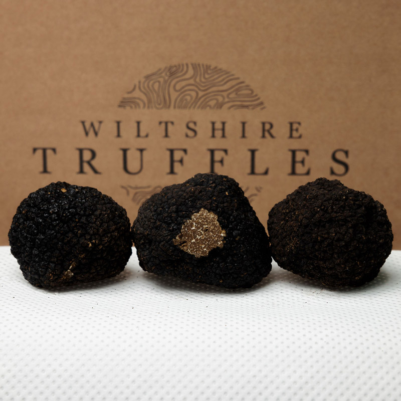 Fresh English Autumn Truffles