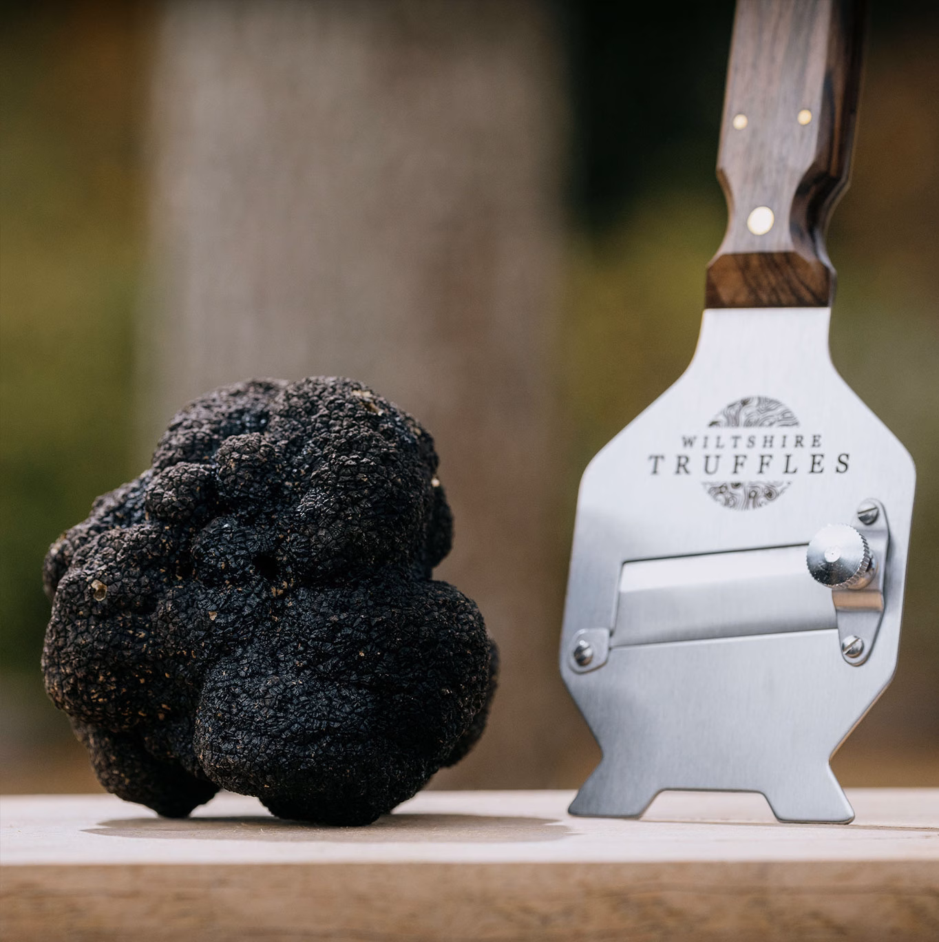 Fresh English Autumn Truffles - Image 3
