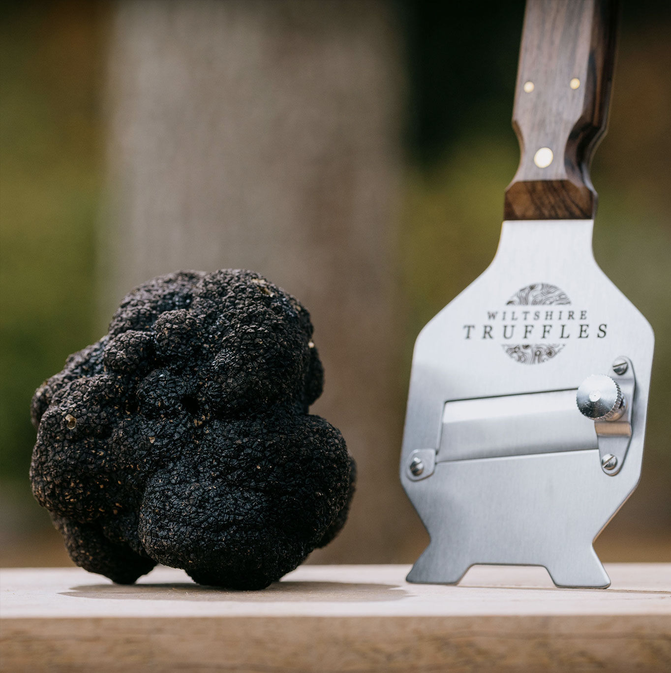Fresh English Autumn Truffles - Image 3