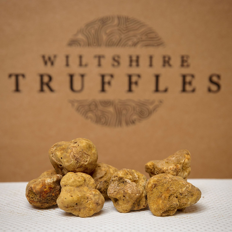 Fresh White Truffles (Small)
